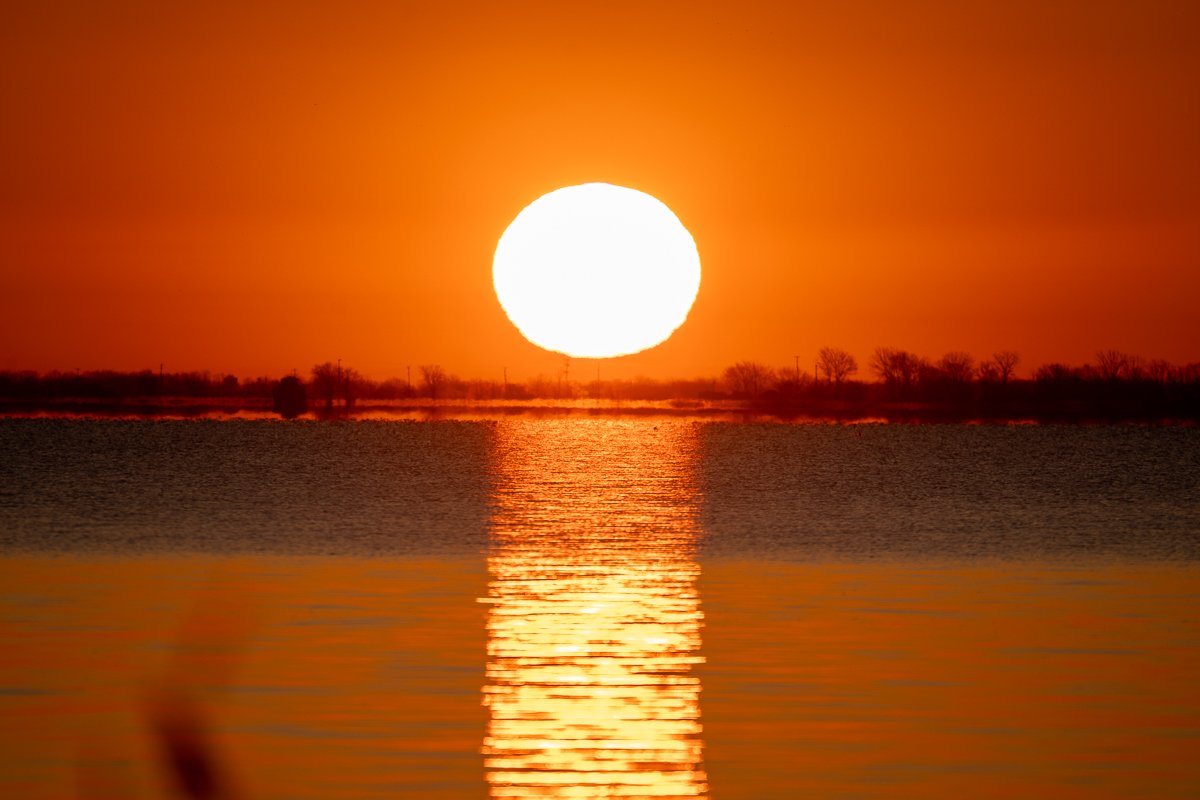 Herzlich Willkommen to the Schnitzel Birder’s page!