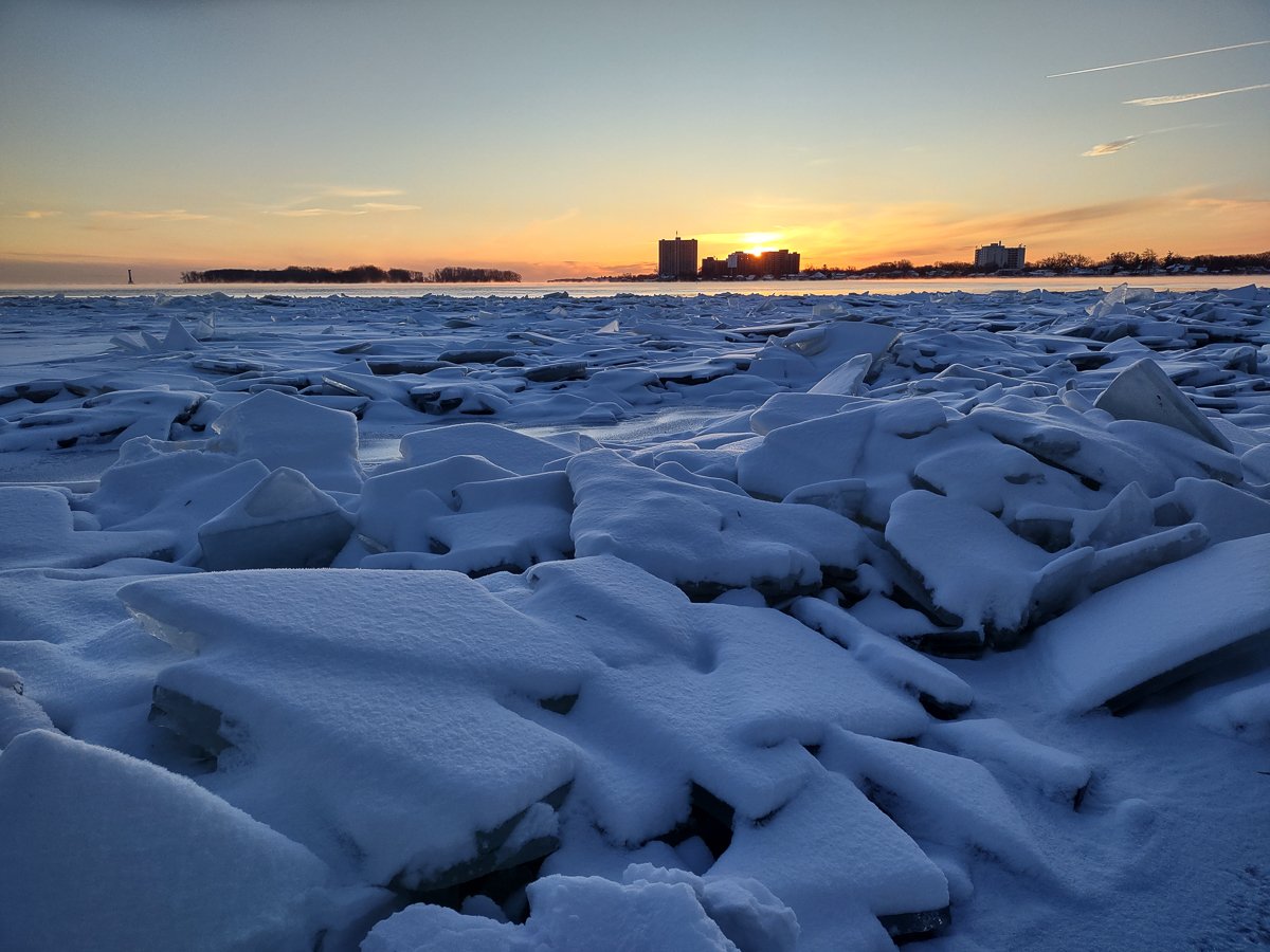 Birding Belle Isle in the Winter: A quick Guide
