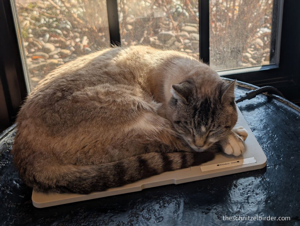 Whisky Jean at Maker's Mark Distillery