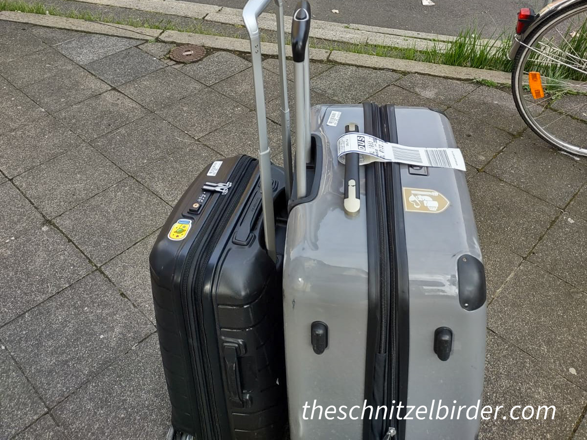 What’s in My Suitcase? Packing for a German Birding Adventure