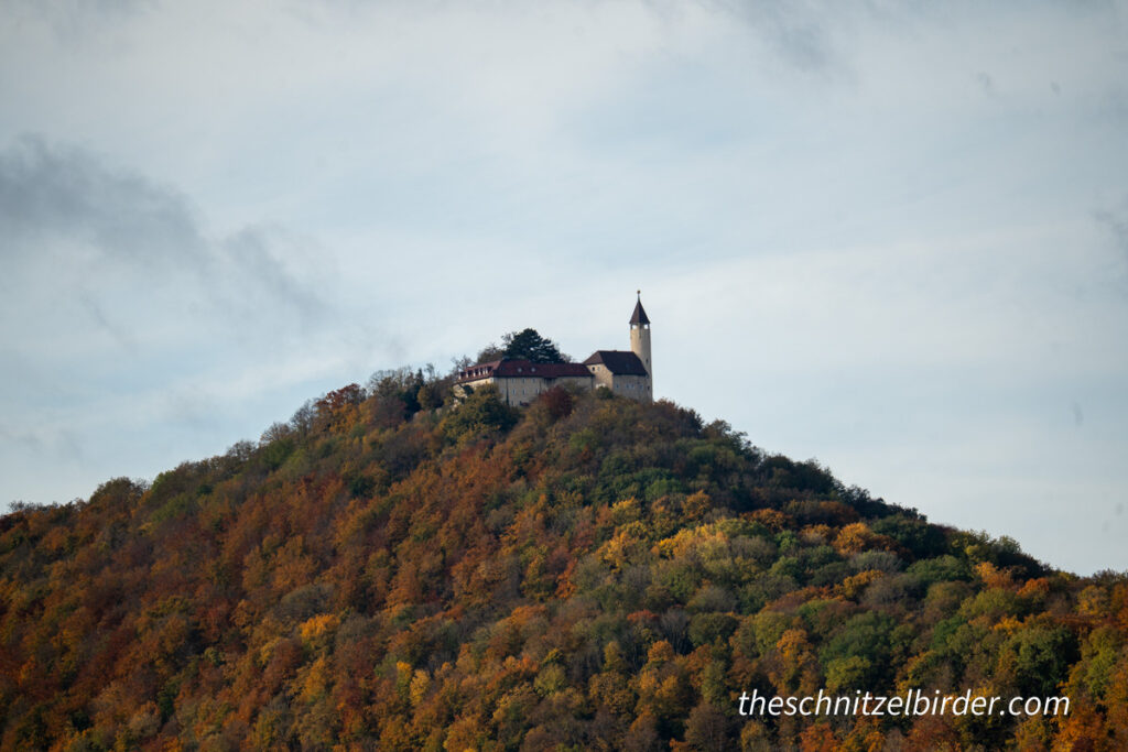 Teck Castle in the Fall