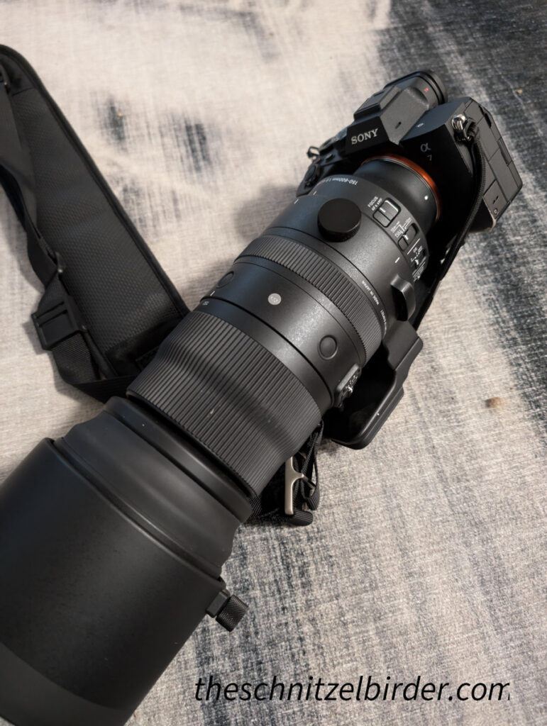 Camera for Birding